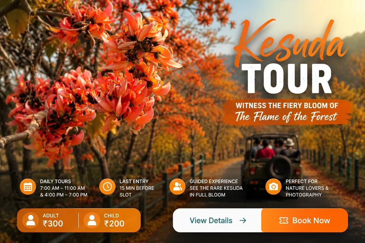 Kesuda Tour at Statue of Unity — key info at a glance