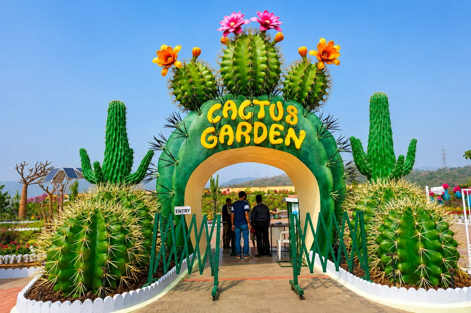 Cactus Butterfly Garden