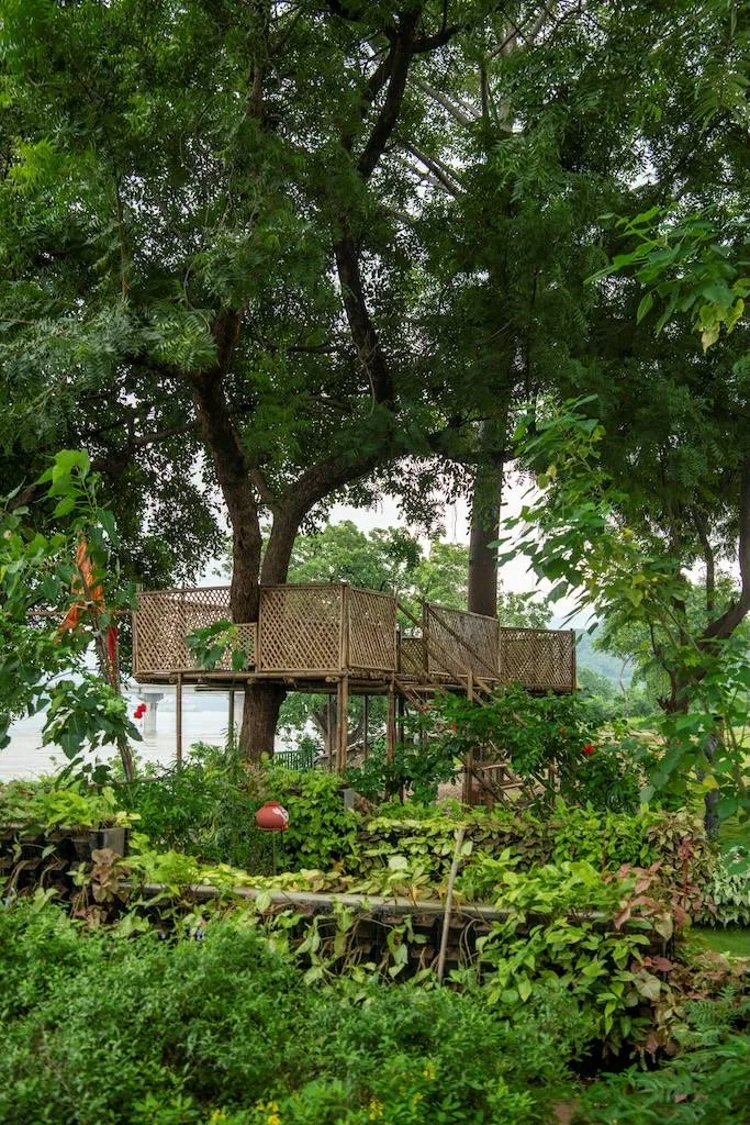 Ekta Nursery