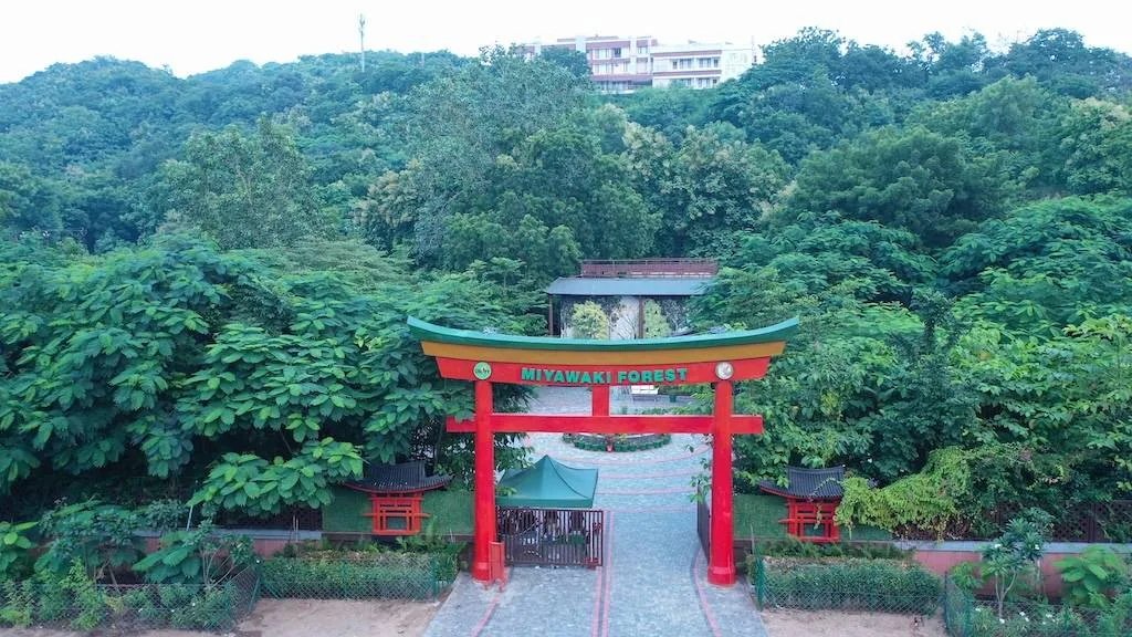 Miyawaki Forest