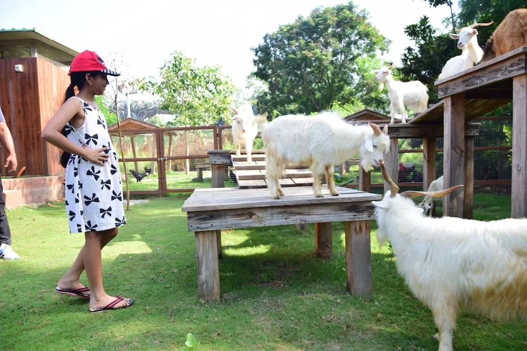 Pets Zone
