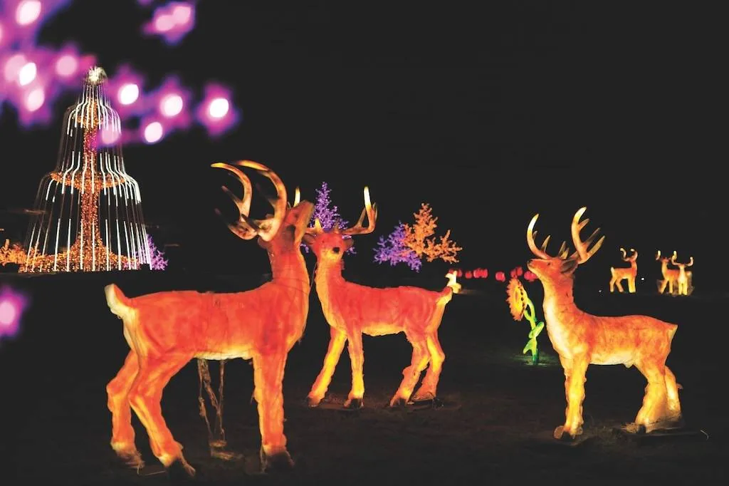 Unity Glow Garden